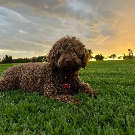 Dom wakacyjny San Benito La Casa De Mis Abuelos Riaza